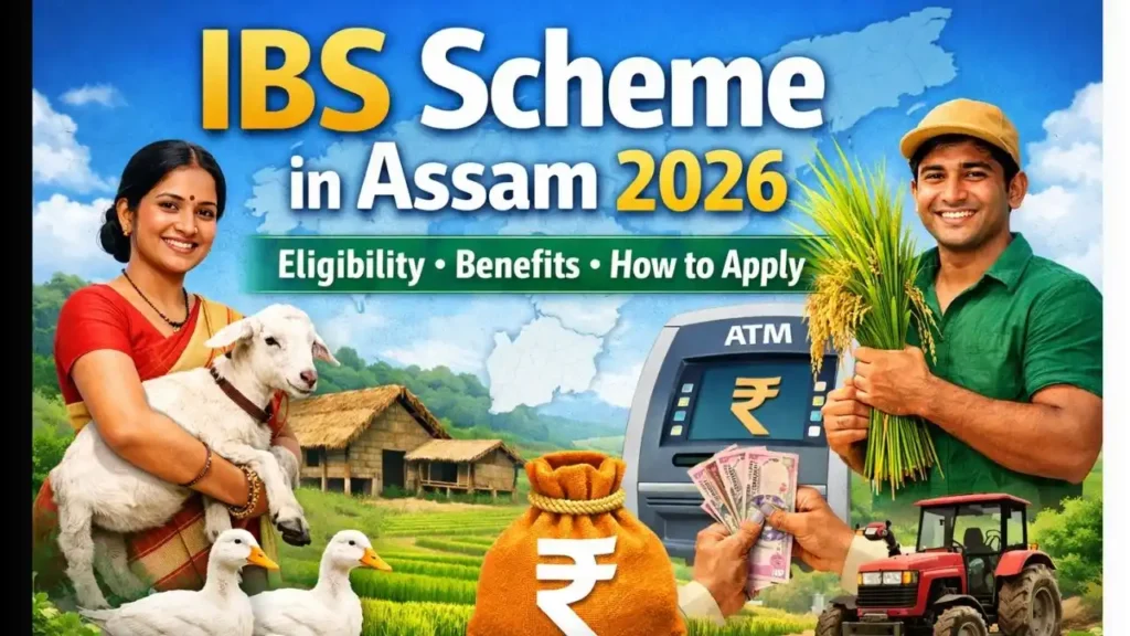 IBS Scheme in Assam