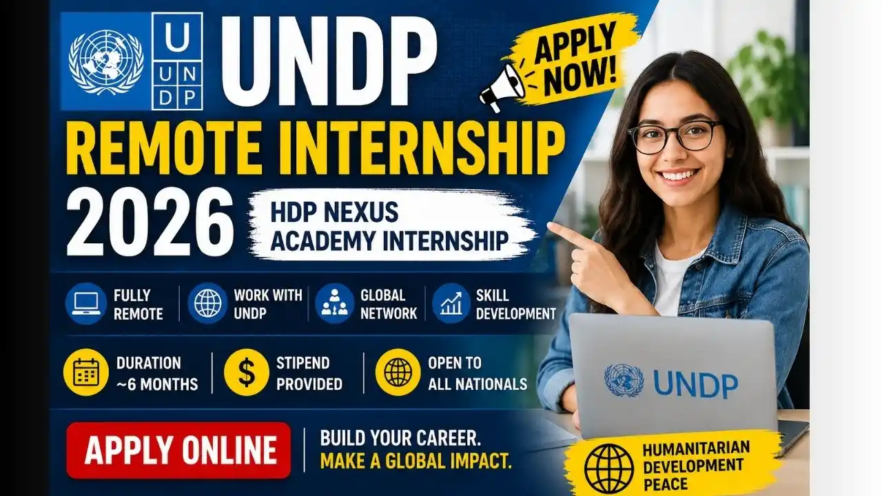 UNDP Remote Internship